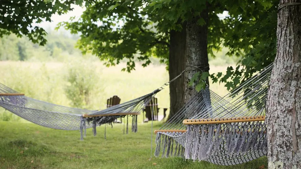 Zwei Stabhängematten zwischen Bäumen auf einer Sommerwiese